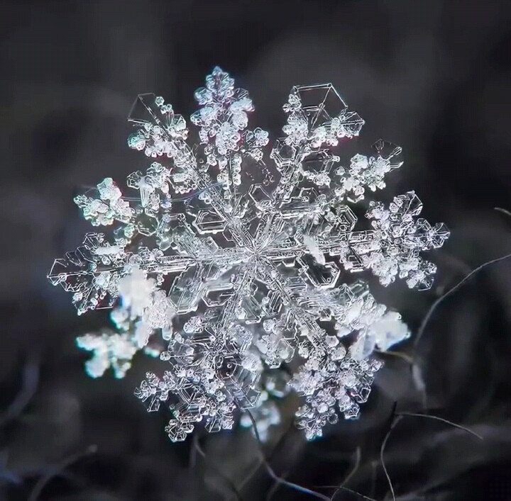 雪花