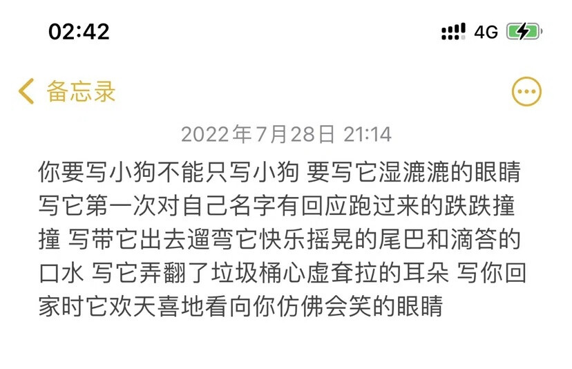 我借了你的心是明是暗