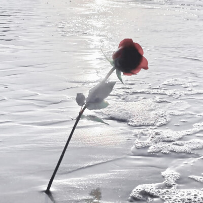 
我们涉身 浪潮与爱（Wave and love）
