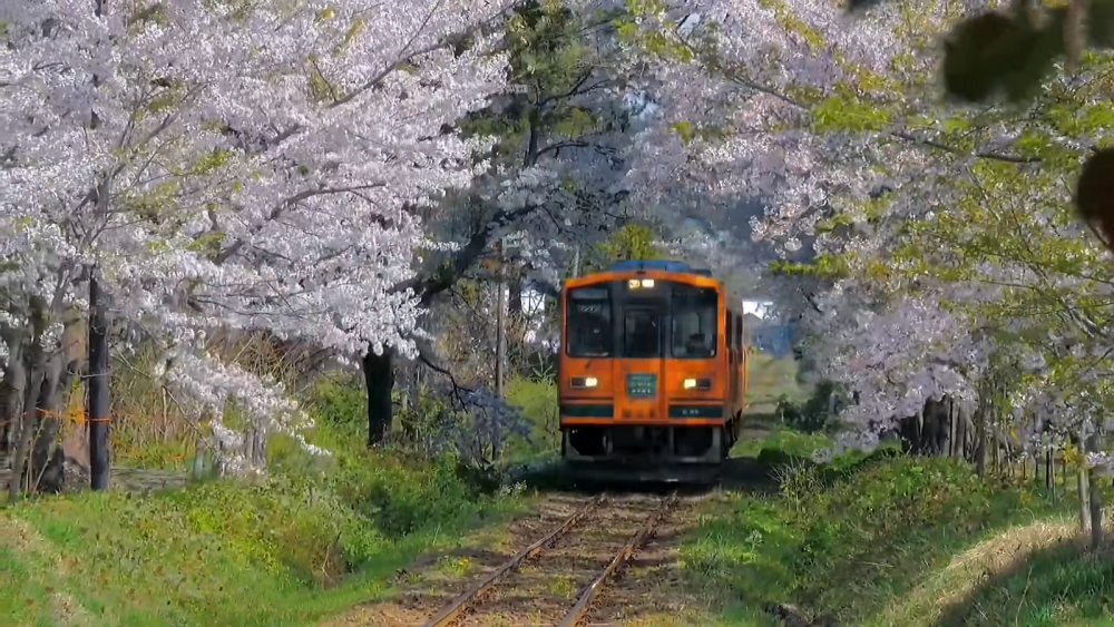 动漫场景真实存在