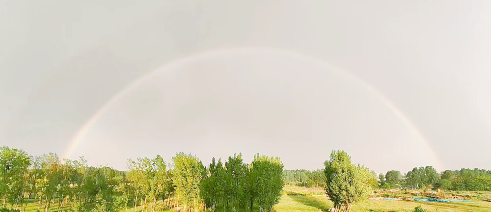 雨后