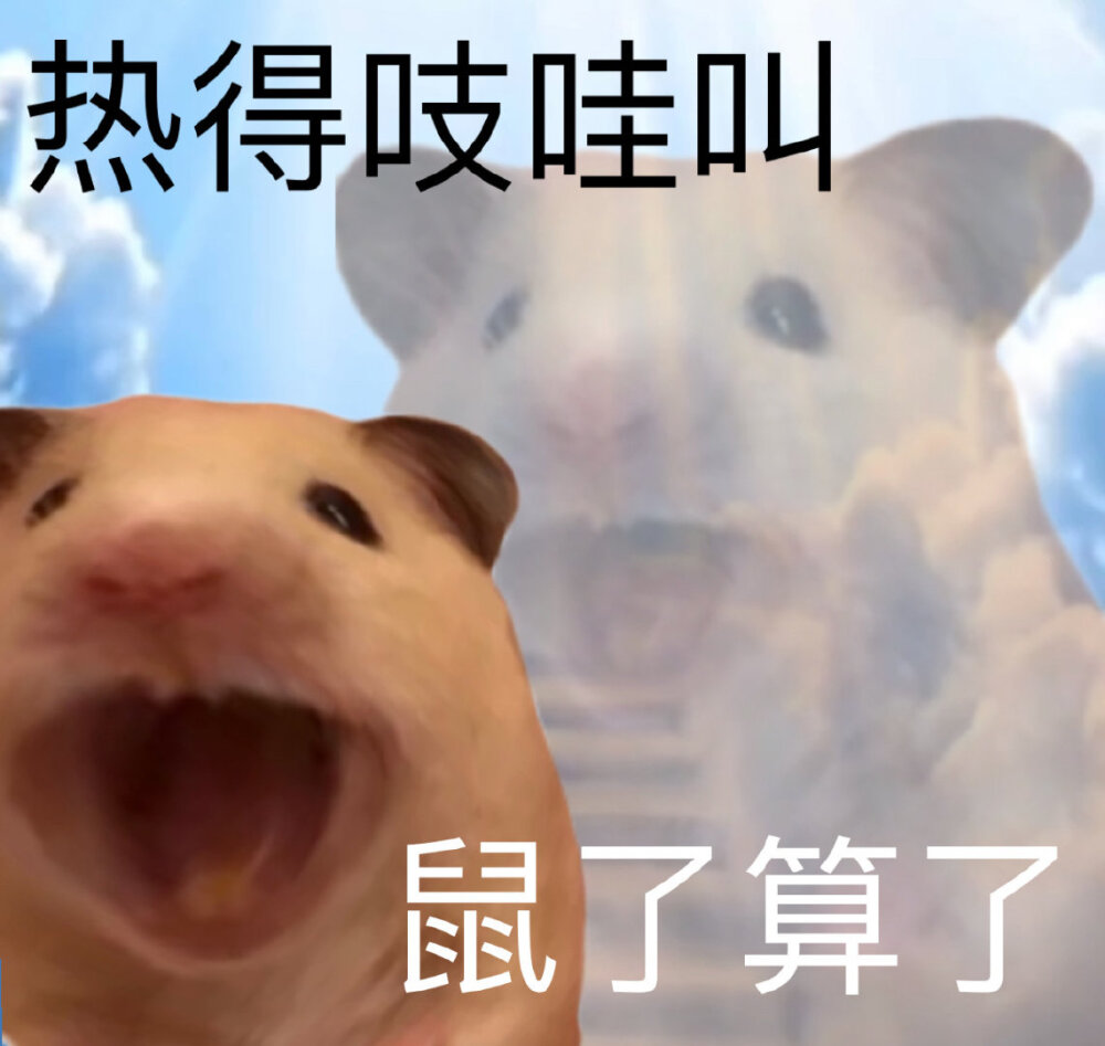 追大鹅