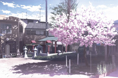 日系 樱花 背景图