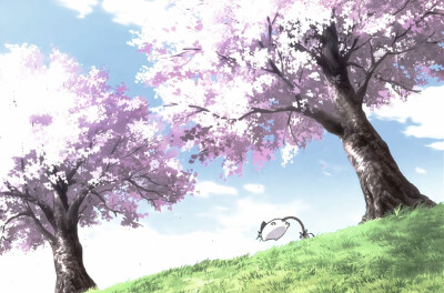 日系 樱花 背景图