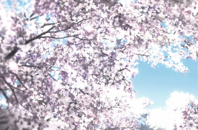 日系 樱花 背景图