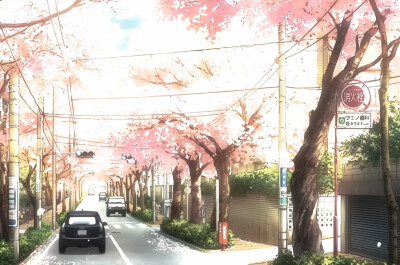 日系 樱花 背景图