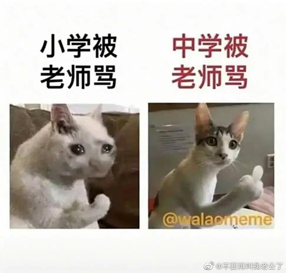 发布
