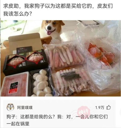 发布