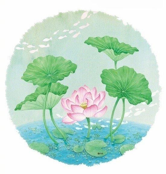 花卉插画作品