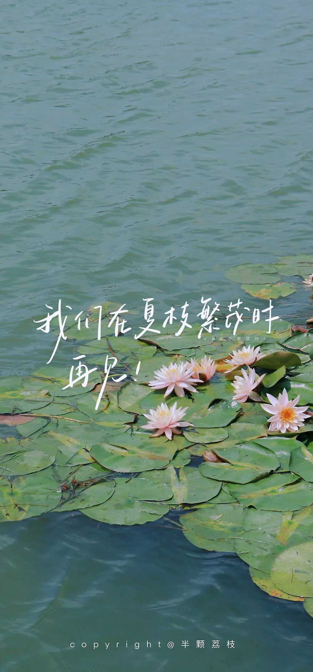 ▸文字壁纸
"想和你坠入浪漫的死循环"