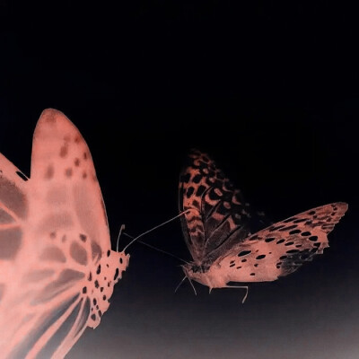 赵露思· 原裴优葵