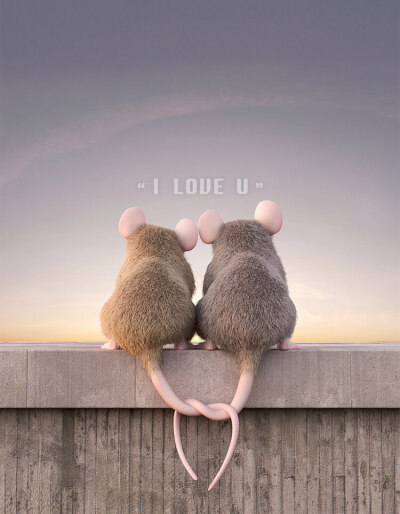 情侣老鼠