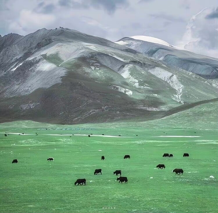 背景｜山川｜风景｜壁纸｜
你说，我们就山居于此吧，胭脂用尽时，桃花就开了。
You said, let's live here on the mountain. When rouge is used up, peach blossoms will bloom.