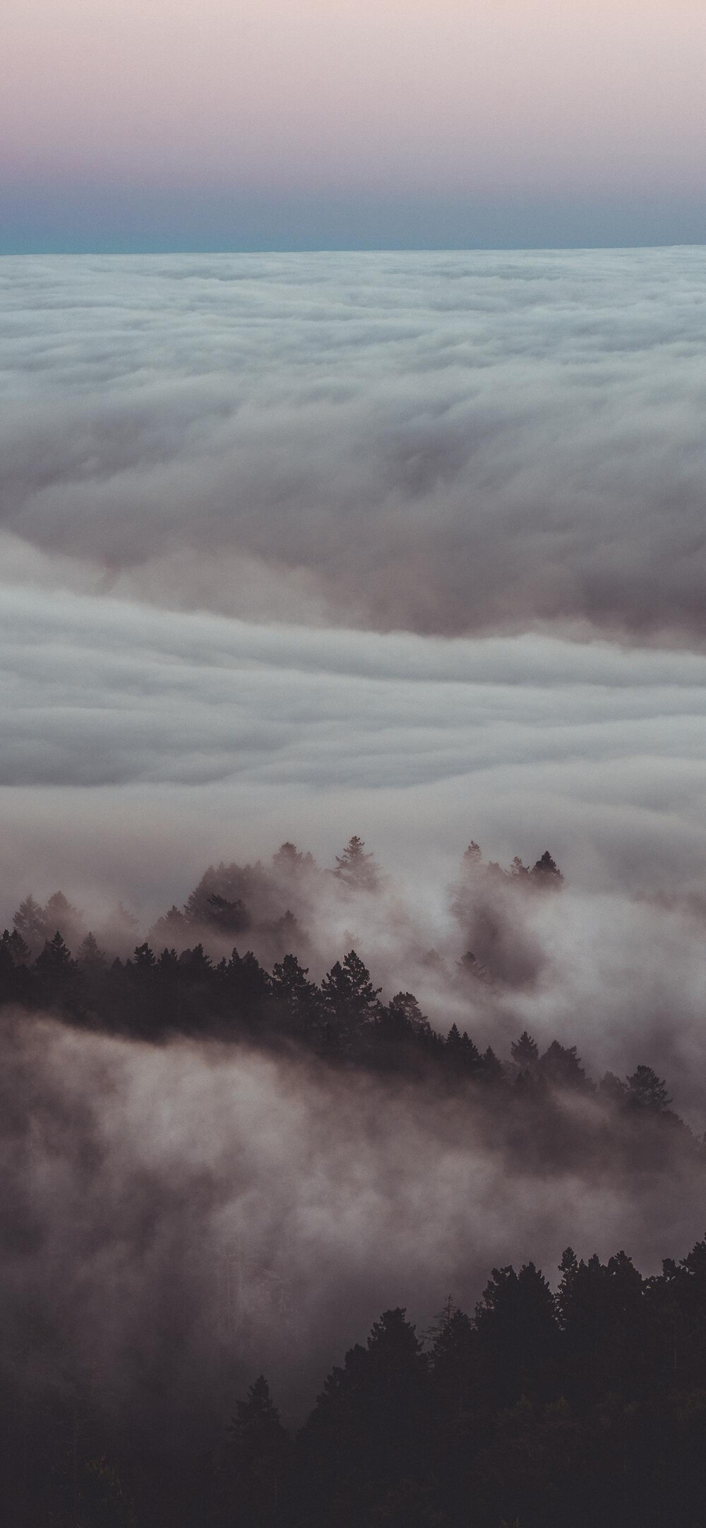 风景壁纸