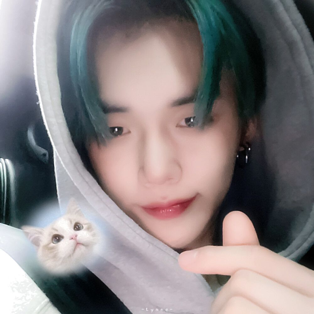 • 崔然竣
· Lynne
° 猫猫想和你玩
所以爬上电脑桌吸引你。