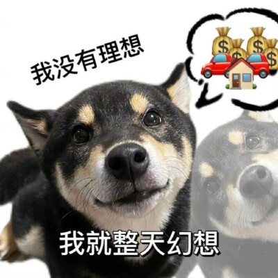 沙雕柴犬表情包