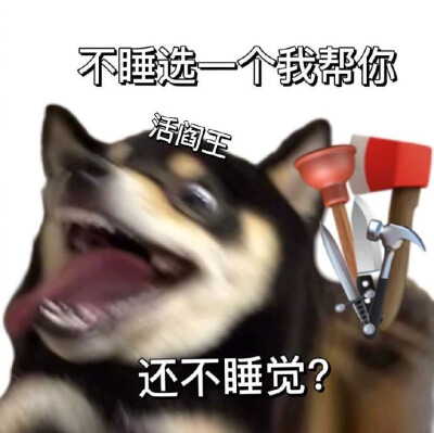 沙雕柴犬表情包