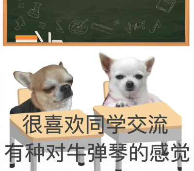 沙雕动物 开学表情包