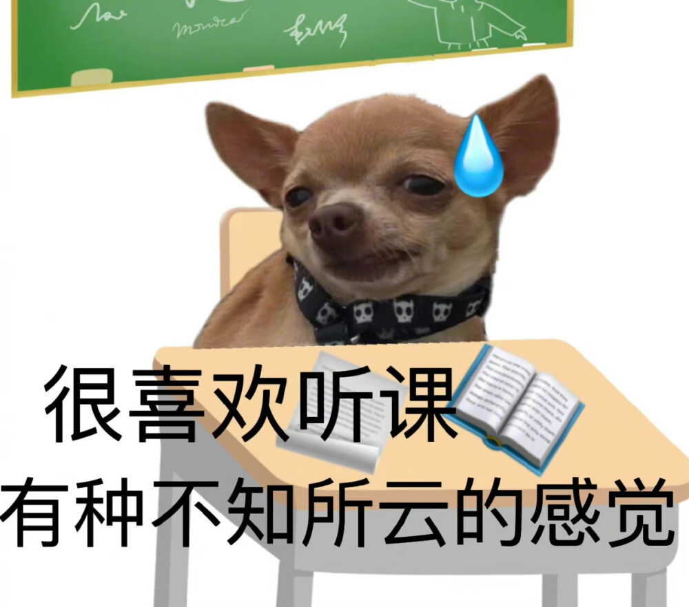 沙雕动物 开学表情包