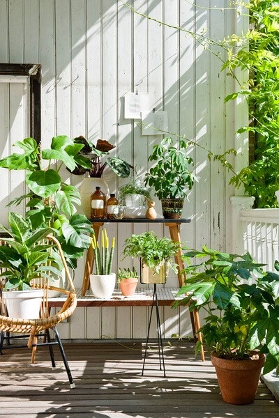 具有设计感的花店陈设。