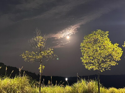 八月十五的夜晚