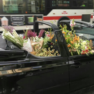 少年没有乌托邦 ᥫᩣ