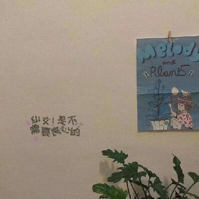 微信背景
侵删