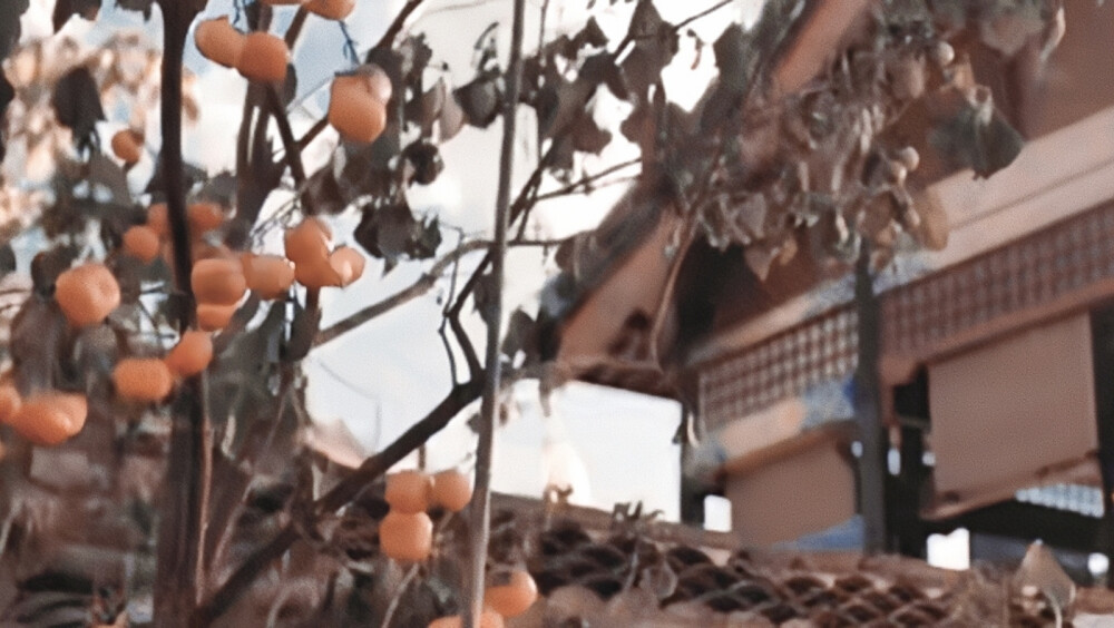 ·花好月圆会