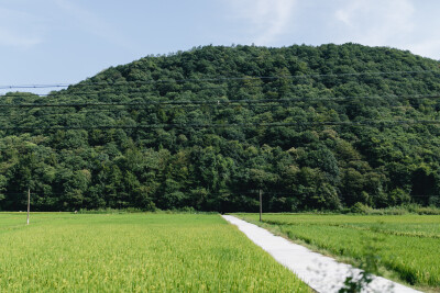 中秋本就该团圆
摄影：洪小漩
出镜：家人
距离上次回上虞老家，已经两月有余。中秋到了，我提前预备了要带给长辈的糕点和酒，满满当当装了一后备箱，乘着夜色启程回家。
到上虞已经接近凌晨，我们先回市区的房子…