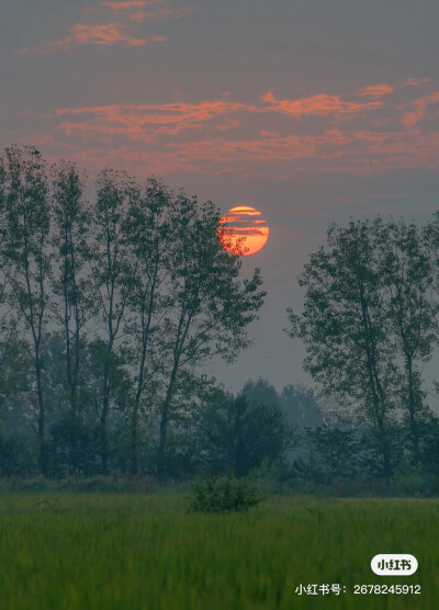 景