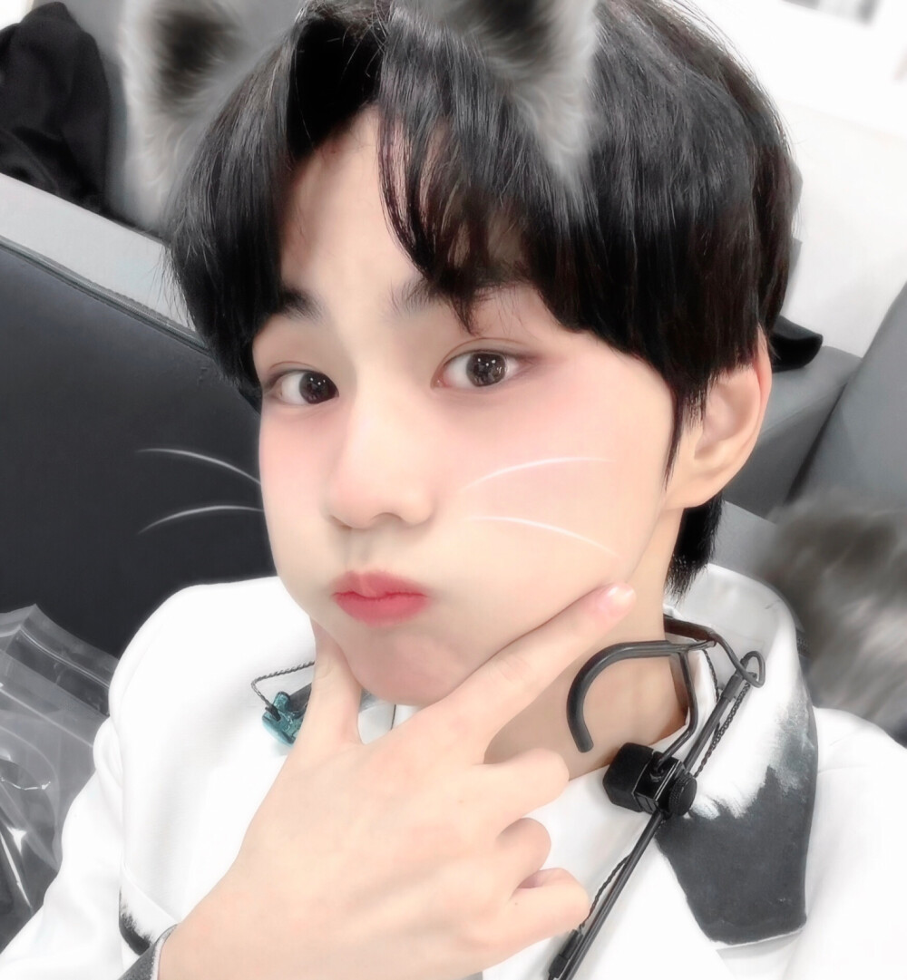 새끼 고양이（Treasure up）