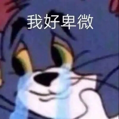 沙雕表情包