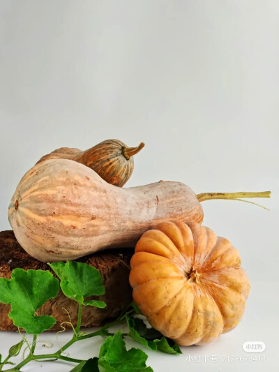 照片
