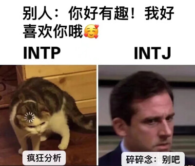 intj