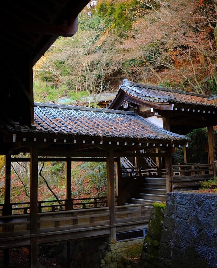 青莲院