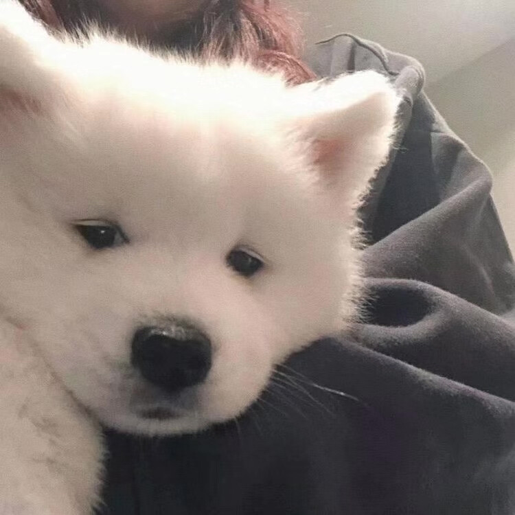 有缘人可以告诉我前两张的原画师吗