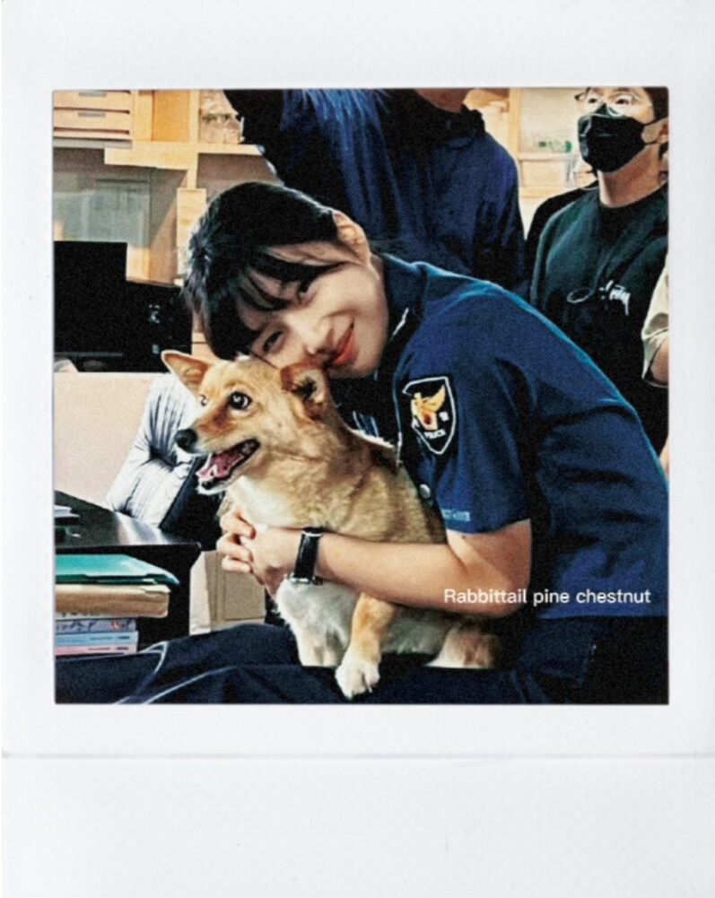 ( ´▽｀)