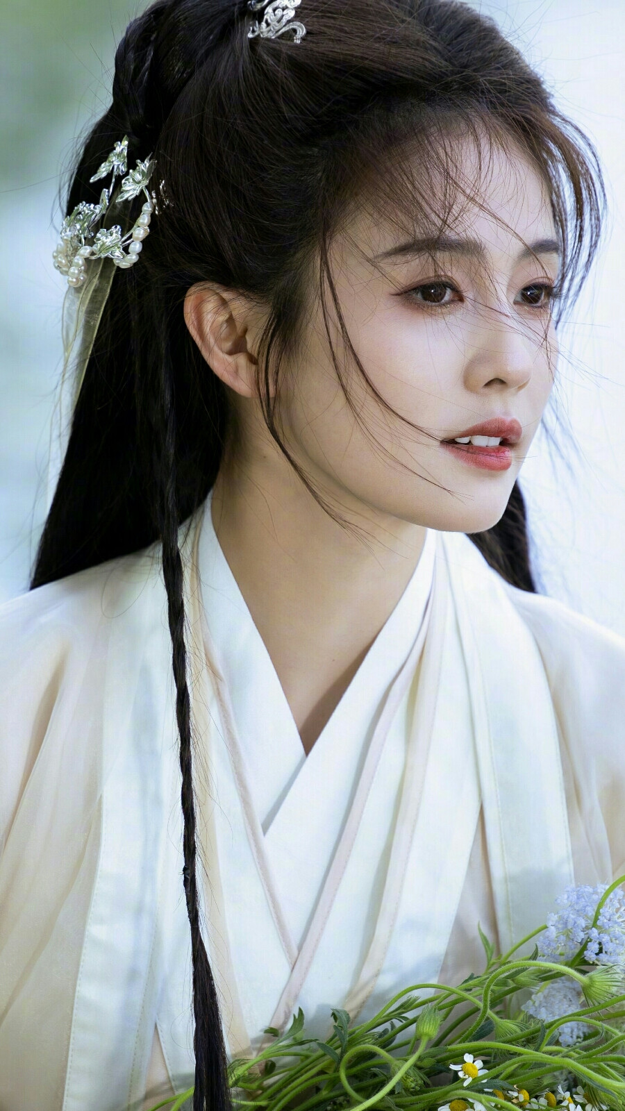 白鹿