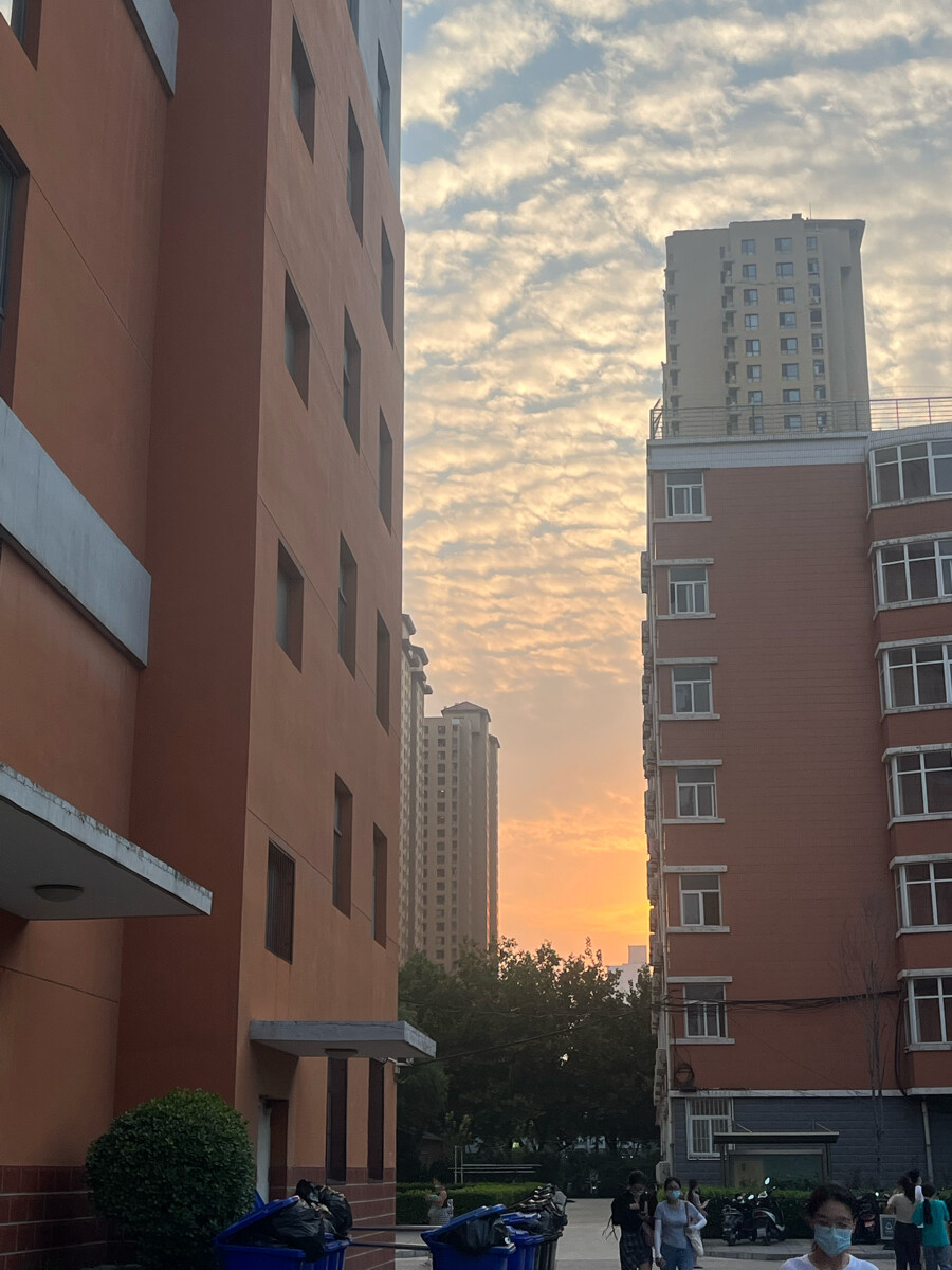 学校