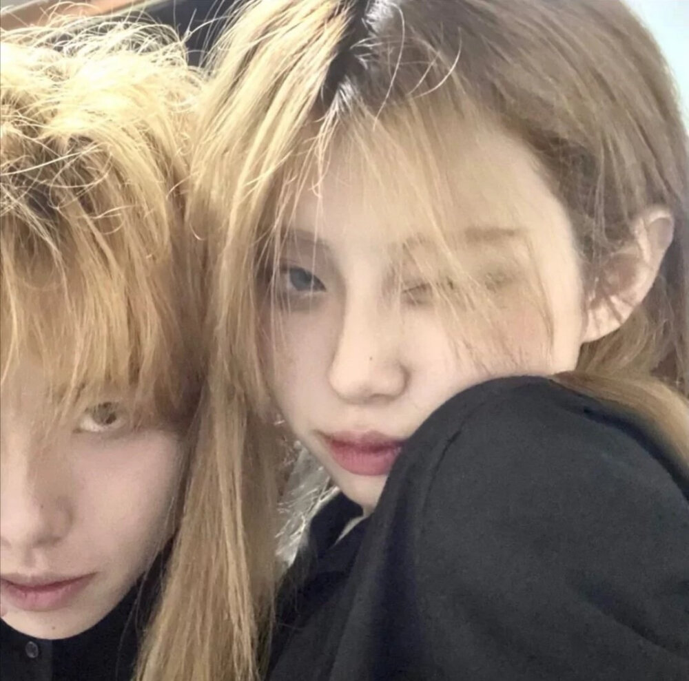 仍然情头.杂图
侵删