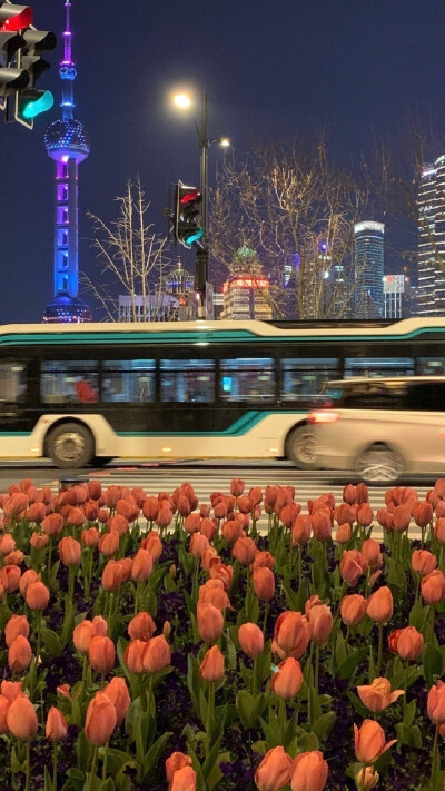 不聊咯，我要去干活了