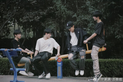 TF家族