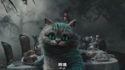 柴郡猫