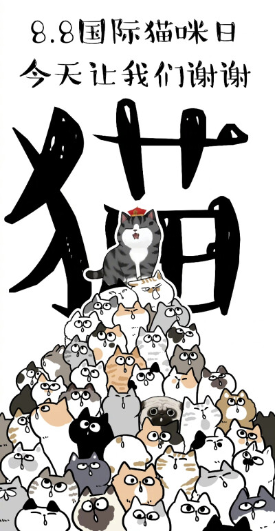 插画猫咪