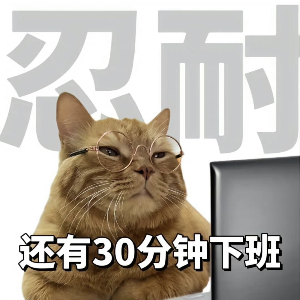 猫咪表情包_打工人九大美德