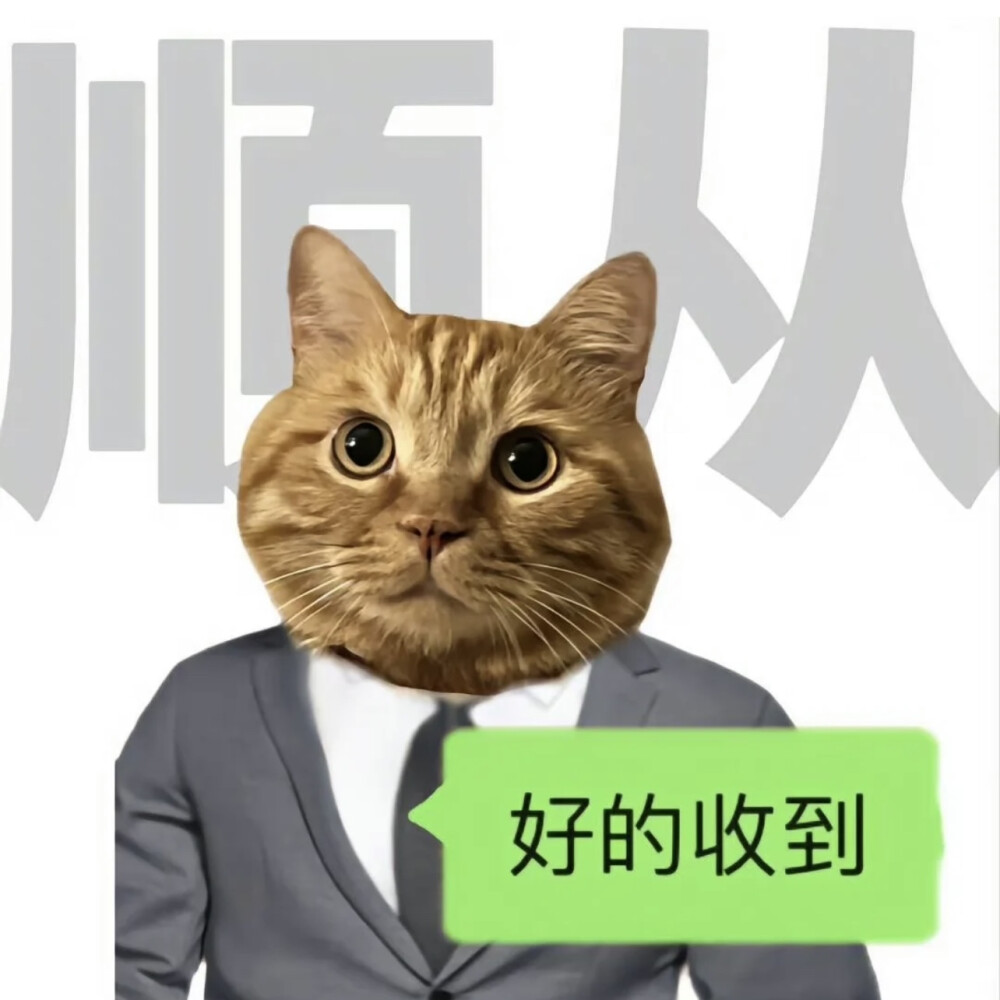 猫咪表情包_打工人九大美德