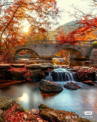 景