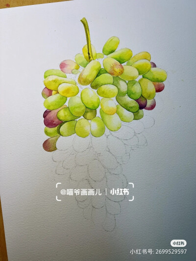 步骤