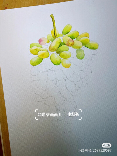 步骤
