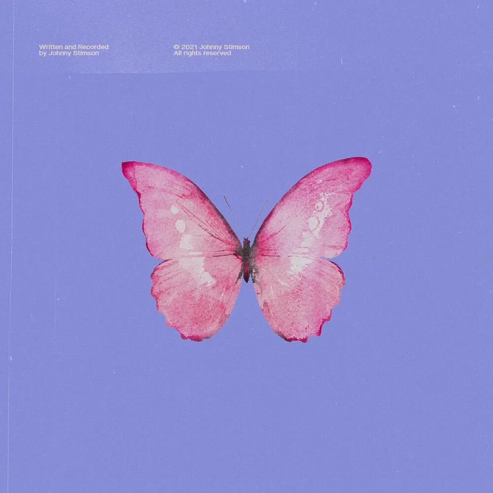 Butterflies-Johnny Stimson